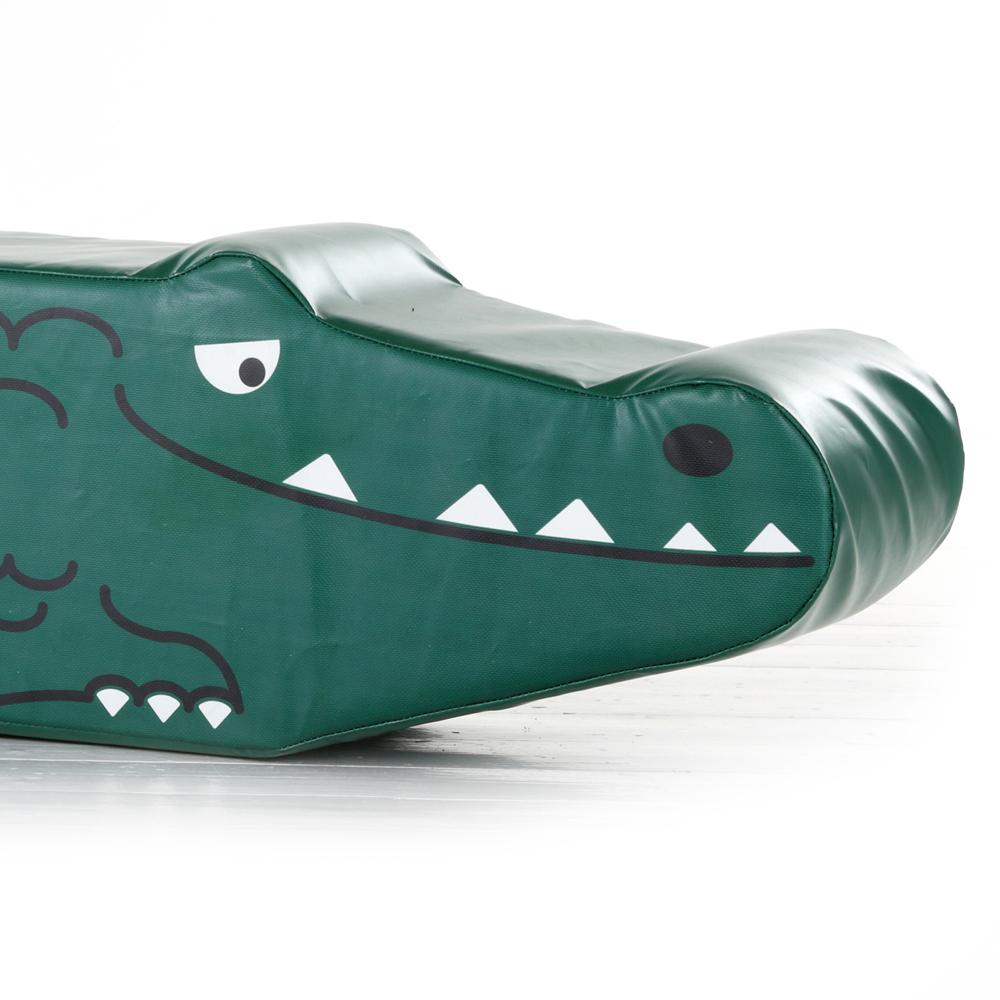 Crocodile Ride and Slide